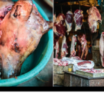 Urgent: Help close live animal markets that spread deadly diseases