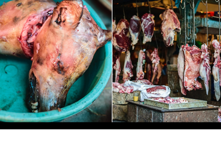 Urgent: Help close live animal markets that spread deadly diseases